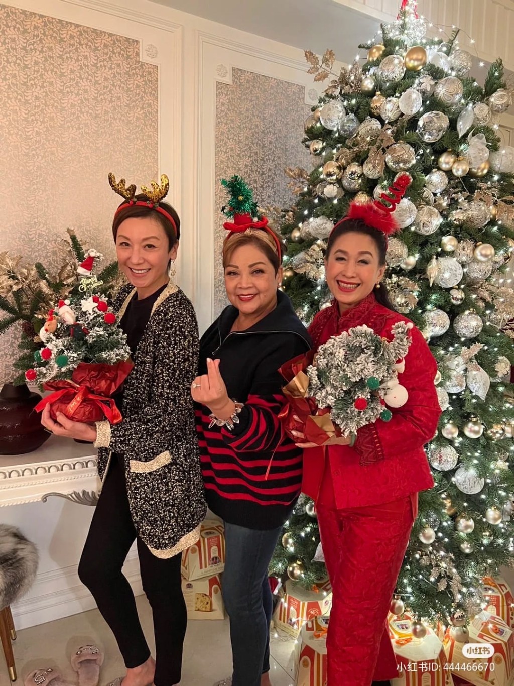 在聖誕樹前留影。